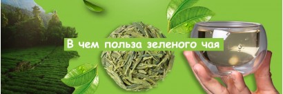 В чем польза зеленого чая